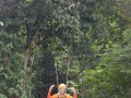 Tn DSC 4277
